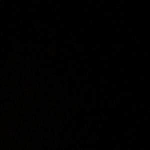 Meet your Posher, Terry